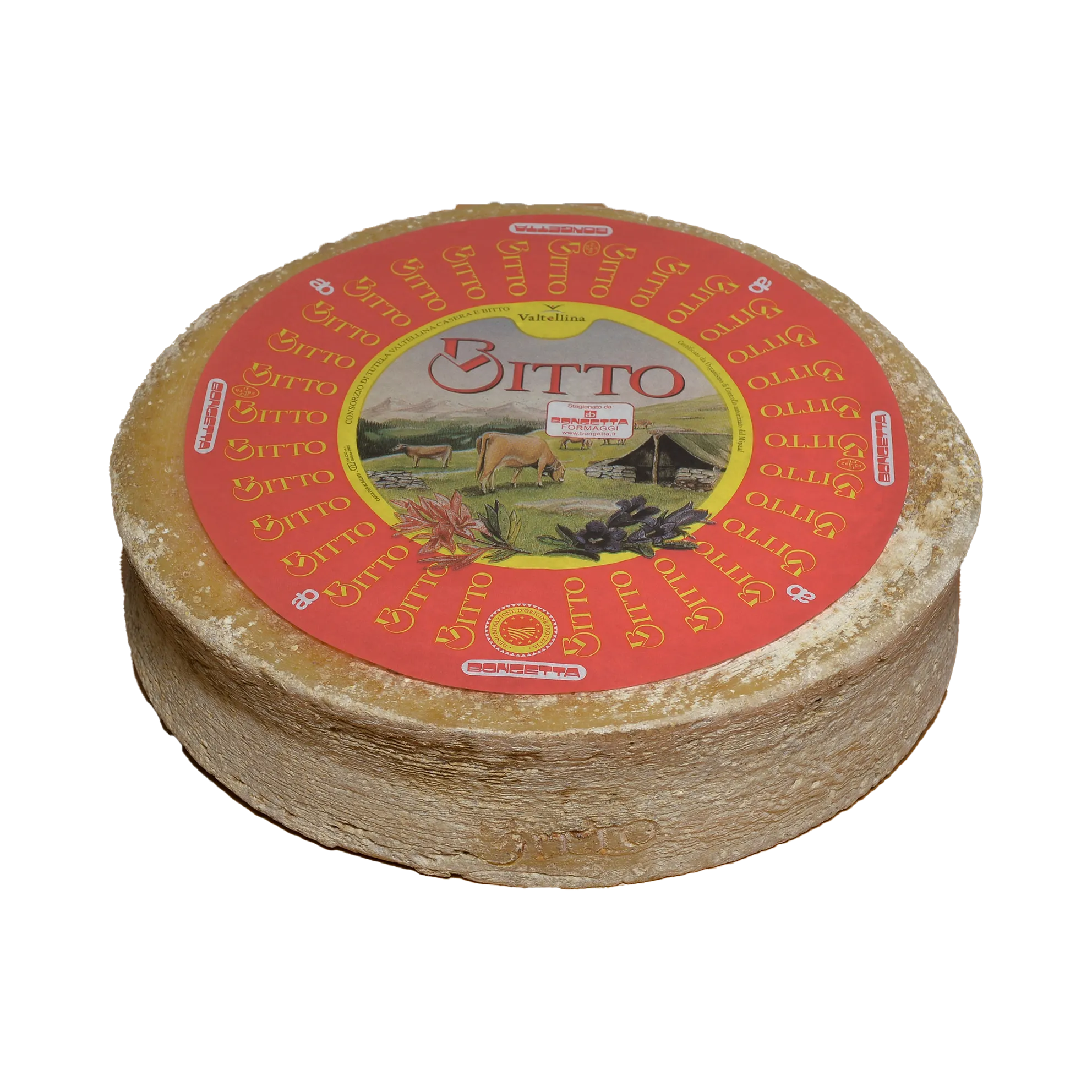 Forma intera di Bitto DOP con l’etichetta del Consorzio di Tutela Valtellina Casera e Bitto; sull’etichetta si legge «Stagionato da: Bongetta Formaggi».