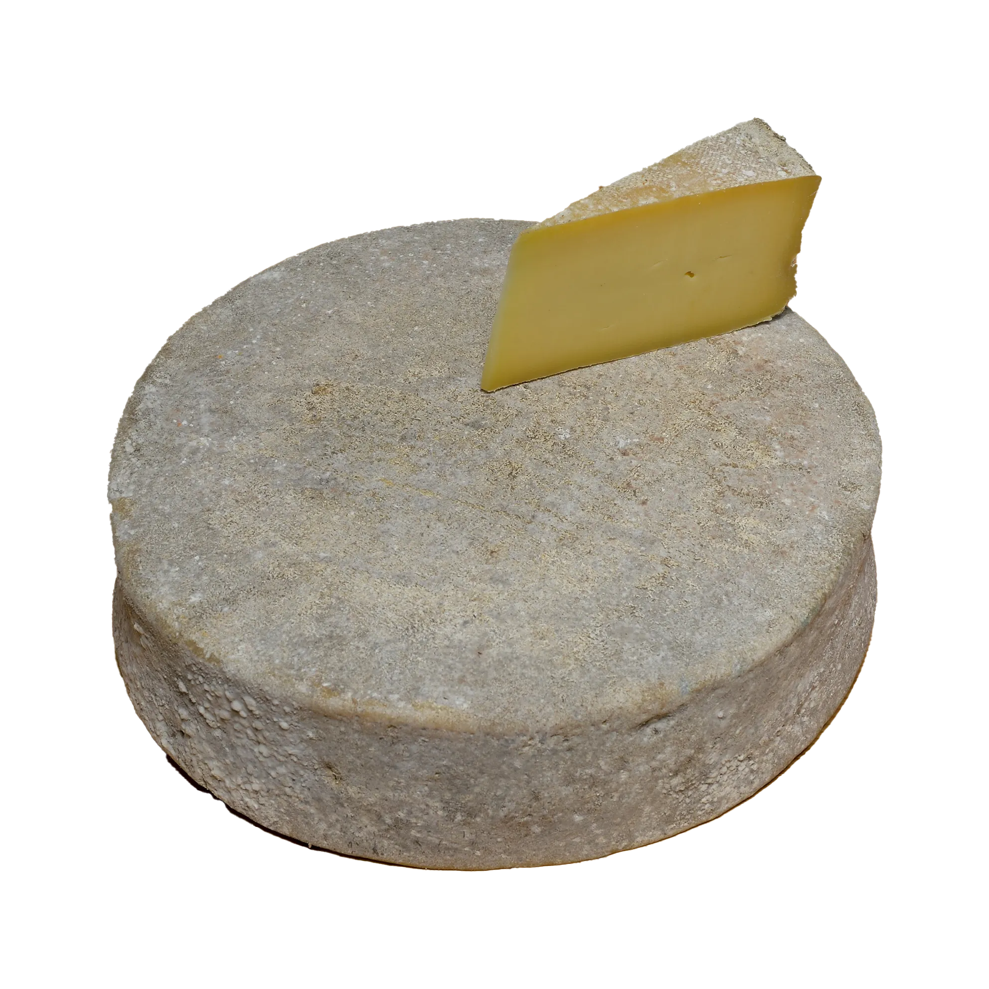 Mountain cheese wheel with a pale gray natural rind and a cut wedge showing the firm ivory-colored paste.