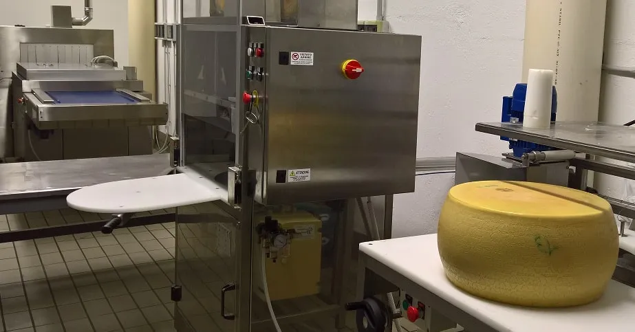 Linea di confezionamento in acciaio inox nello stabilimento, con una forma di formaggio a pasta dura su un banco di lavoro.