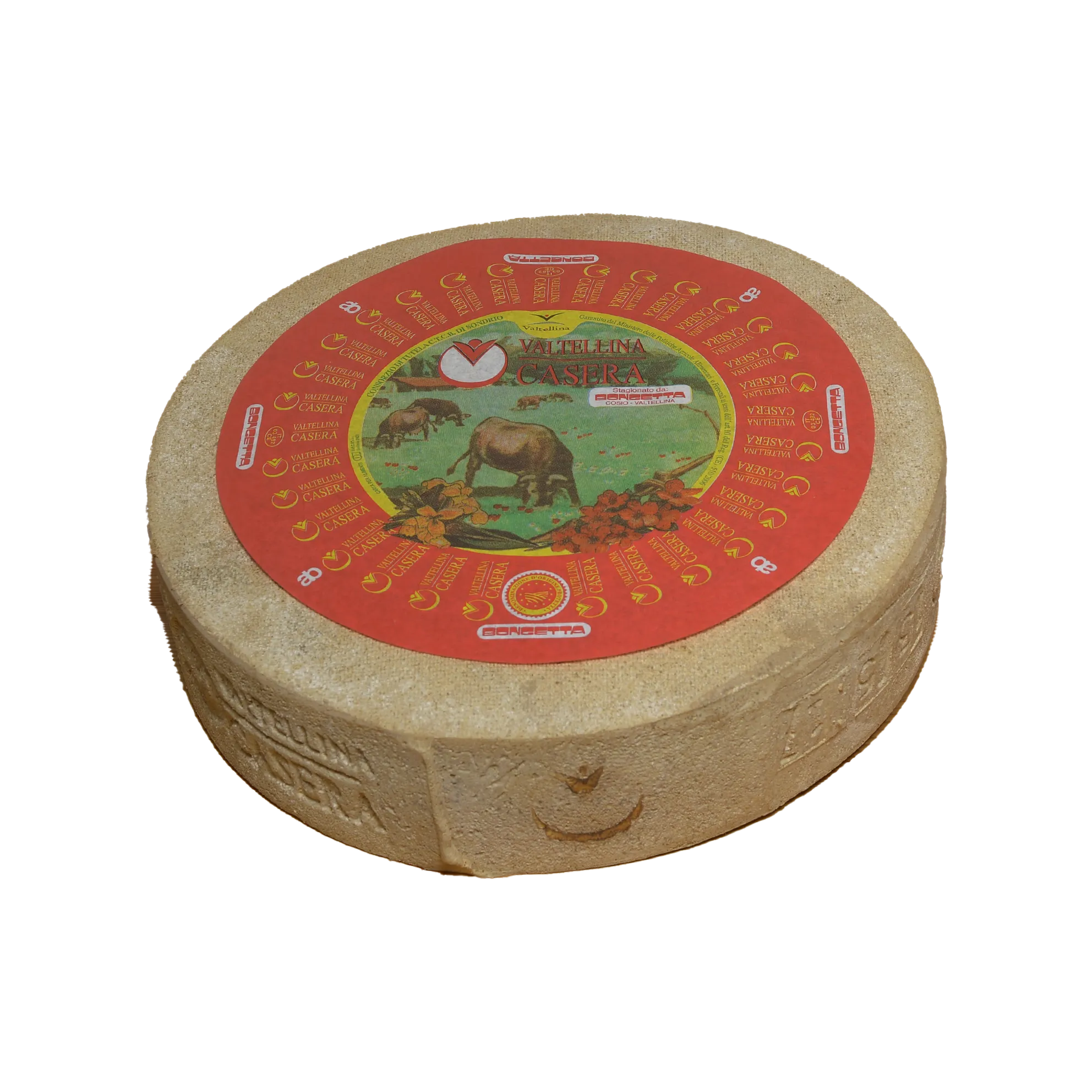 Whole wheel of Valtellina Casera DOP: the heel is branded with the denomination and the Consorzio label reads “Stagionato da: Bongetta — Cosio Valtellino”.